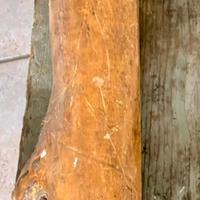Tronco di legno per ornamento camino
