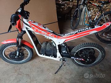 Mini trial e16 beta