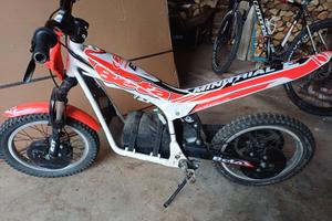 Mini trial e16 beta