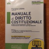 manuale di diritto costituzionale nel diritto