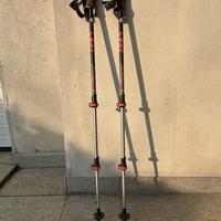 Bastoncini da trekking