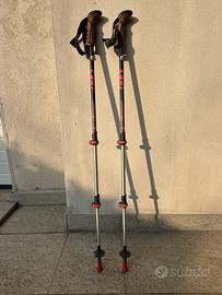 Bastoncini da trekking