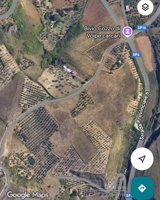 Uliveto in Provincia di Palermo-Territorio Ciminna