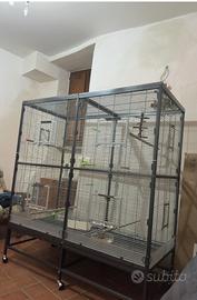 Voliera Grande gabbia Paradiso CASA 150