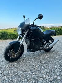 Ducati Monster