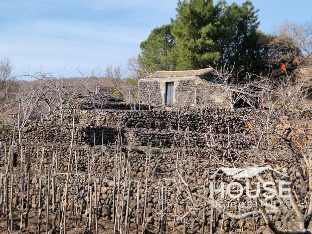 Santa maria di licodia-terreno con fabbricato