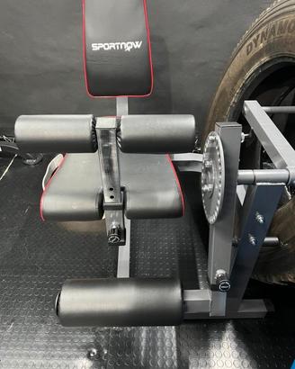 Leg Extension