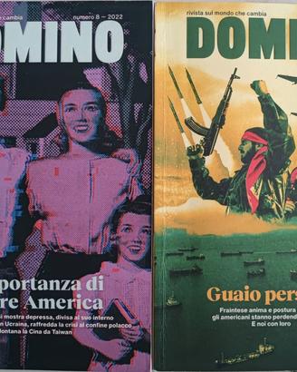 Domino - rivista di geopolitica