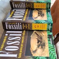 Il magico mondo dei fossili DE AGOSTINI - 1996