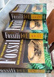 Il magico mondo dei fossili DE AGOSTINI - 1996