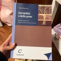 dei delitti e delle pene