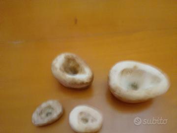 Rare Forme Antiche in Pietra - Agnello Pasquale