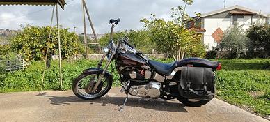 Harley Davidson Softail Custom 