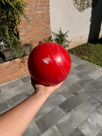 Palla ginnastica ritmica pastorelli