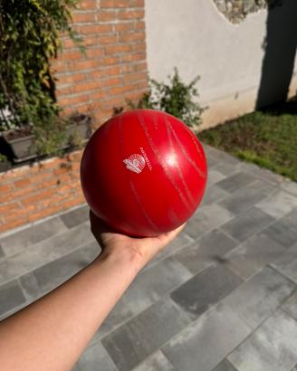 Palla ginnastica ritmica pastorelli