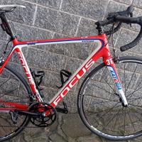Bicicletta Focus in carbonio