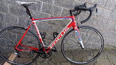 Bicicletta Focus in carbonio