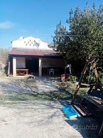 Terreno agricolocon abitazione