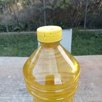 olio lubrificante 