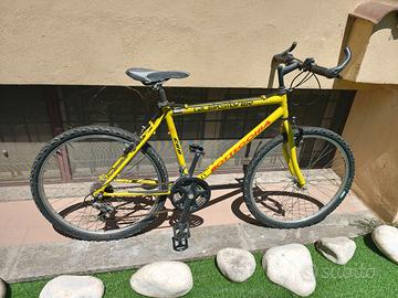 Mountain bike