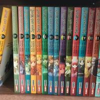 Spice and wolf completo