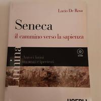 Lumina. Seneca, il cammino verso la sapienza