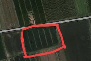 Terreno a Precenicco