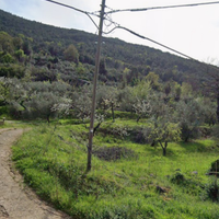 Terreno di 4539mq con uliveto secolare-Sonnino(LT)