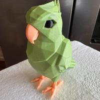 Pappagallo 3D