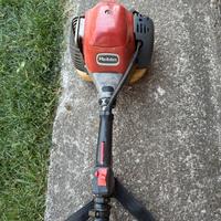 Decespugliatore