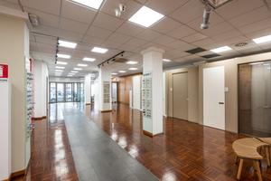 Show Room a Milano