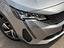Immagine 13