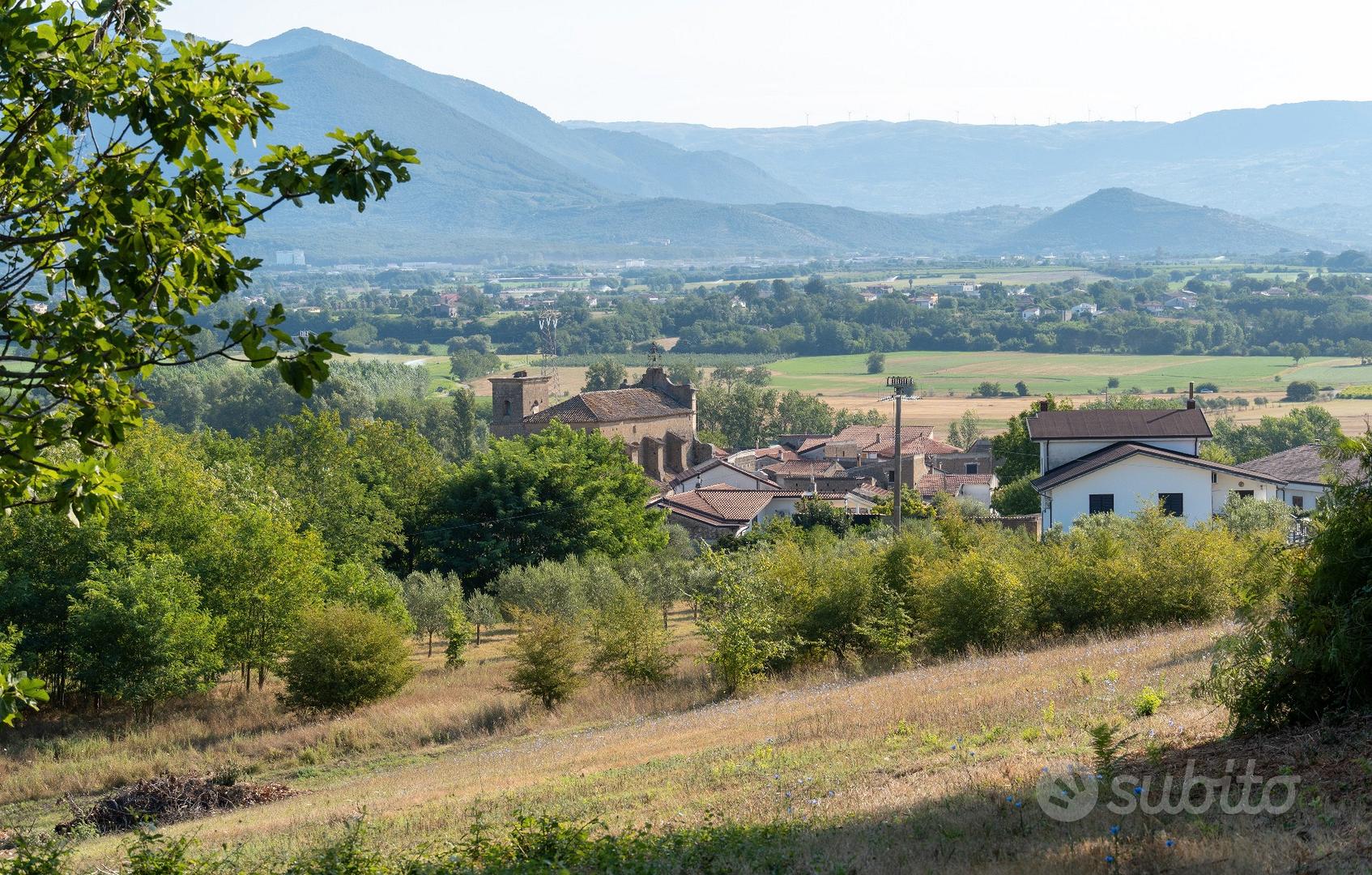 Ruviano , terreno agricolo di 5mila m con rustico - Vista 5