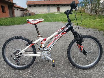 Bicicletta.