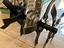 Immagine 4