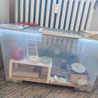 box Ikea samla xxl per criceti roditori