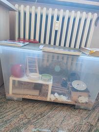 box Ikea samla xxl per criceti roditori