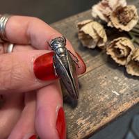 Antica spilla cicala argento fine ‘800 rara