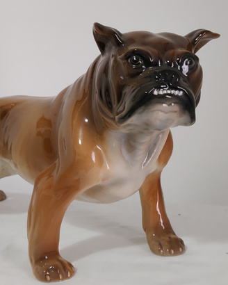 Bulldog