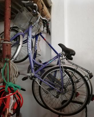 Coppia di biciclette