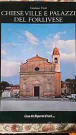 Libro Chiese, ville e palazzi del Forlivese