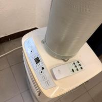 Pinguino raffreddatore