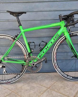 Focus izalco race carbonio
