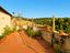 Immagine 19