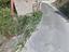 Immagine 8