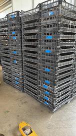 Casse Plastica Ortaggi 60x40