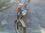 Immagine 2