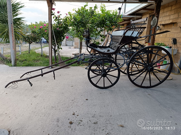 Carrozze per Cavalli