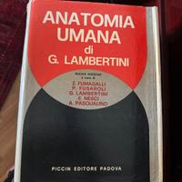 Atlante di Anatomia Piccin Editore 