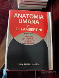 Atlante di Anatomia Piccin Editore 